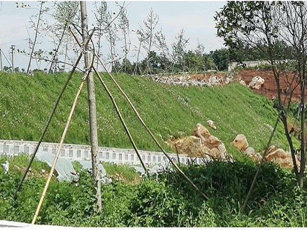 ���μǹ�԰���ֲ��