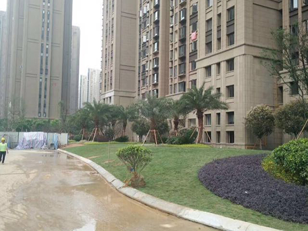 ��̩�ճ������̻���װ